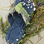 Sandal on a Beach